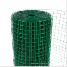 PVC Coated Square Wire Mesh/Welded Wire Mesh